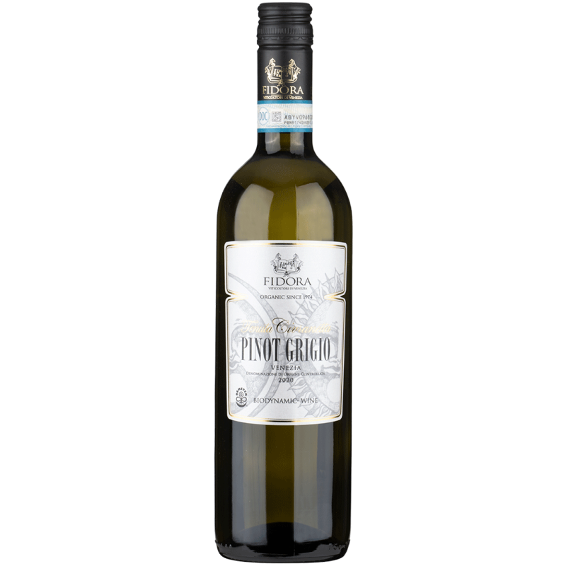 Pinot Grigio DOC | Blanco 2023